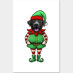 Black Labrador Retriever Christmas Elf Posters and Art